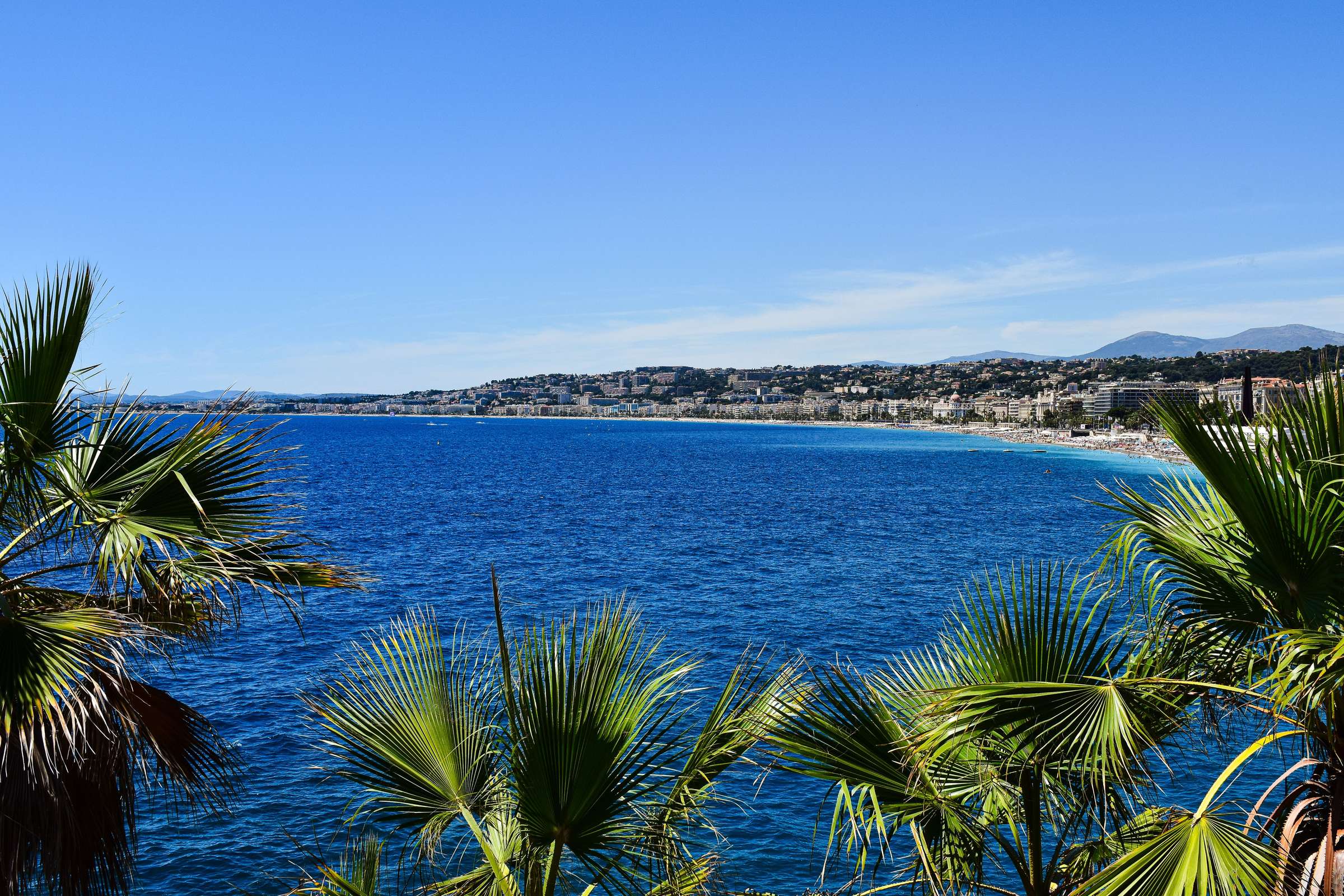 Baie bleue de la Côte d’Azur vue à travers des palmiers